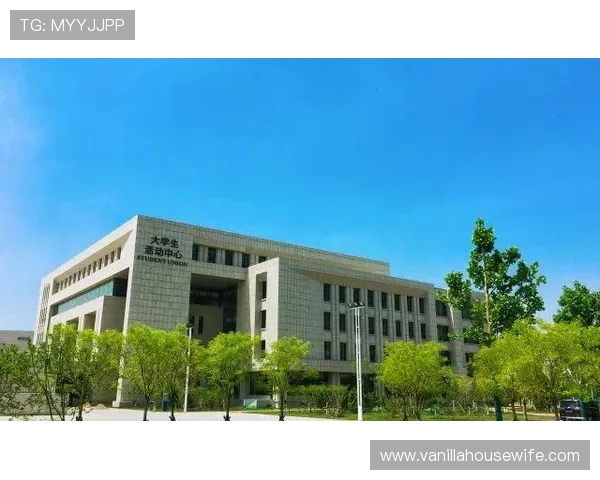 升博体育如何通过创新技术提升直播画质和用户互动体验实现差异化竞争