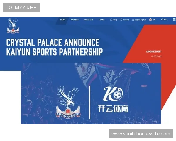 开云体育VIP如何快速升级成为高端玩家提升游戏竞争力