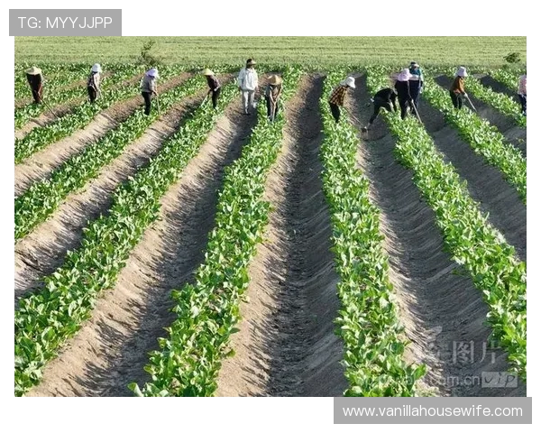 a8体育在线直播网页全面解析如何快速找到高清直播资源与观看技巧